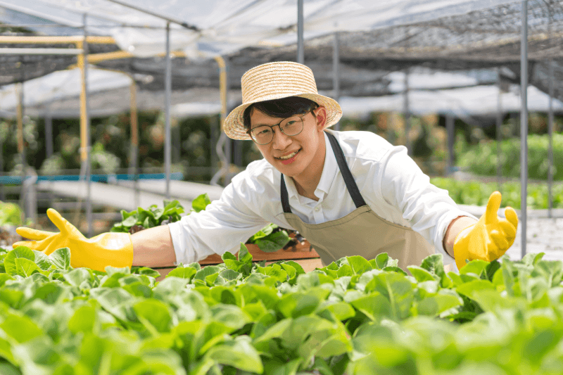 Farmer jobs in Germany