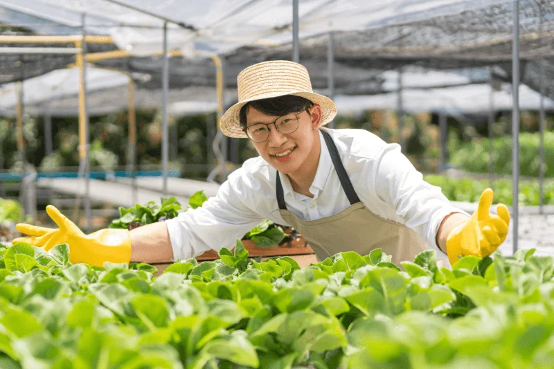 Job placement in Germany for farming and agriculture workers